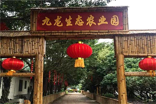 九龍生態(tài)農(nóng)業(yè)園.jpg